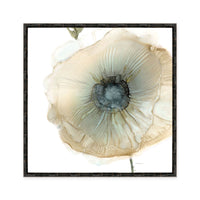 Iridescent Poppy II