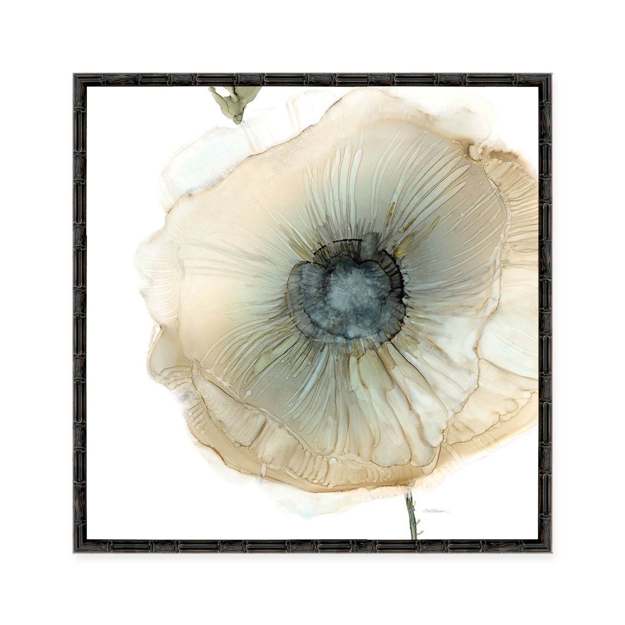 Iridescent Poppy II