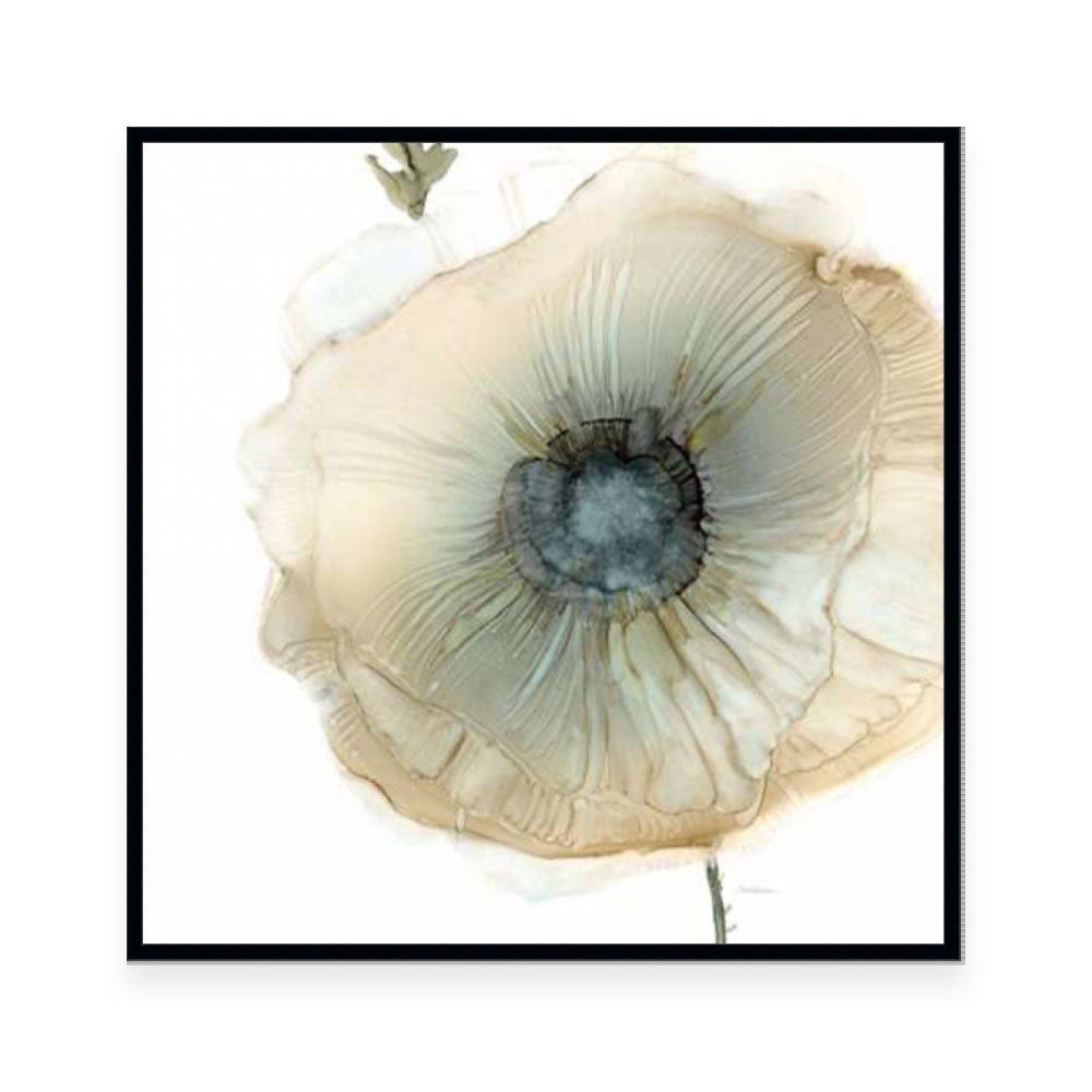 Iridescent Poppy II