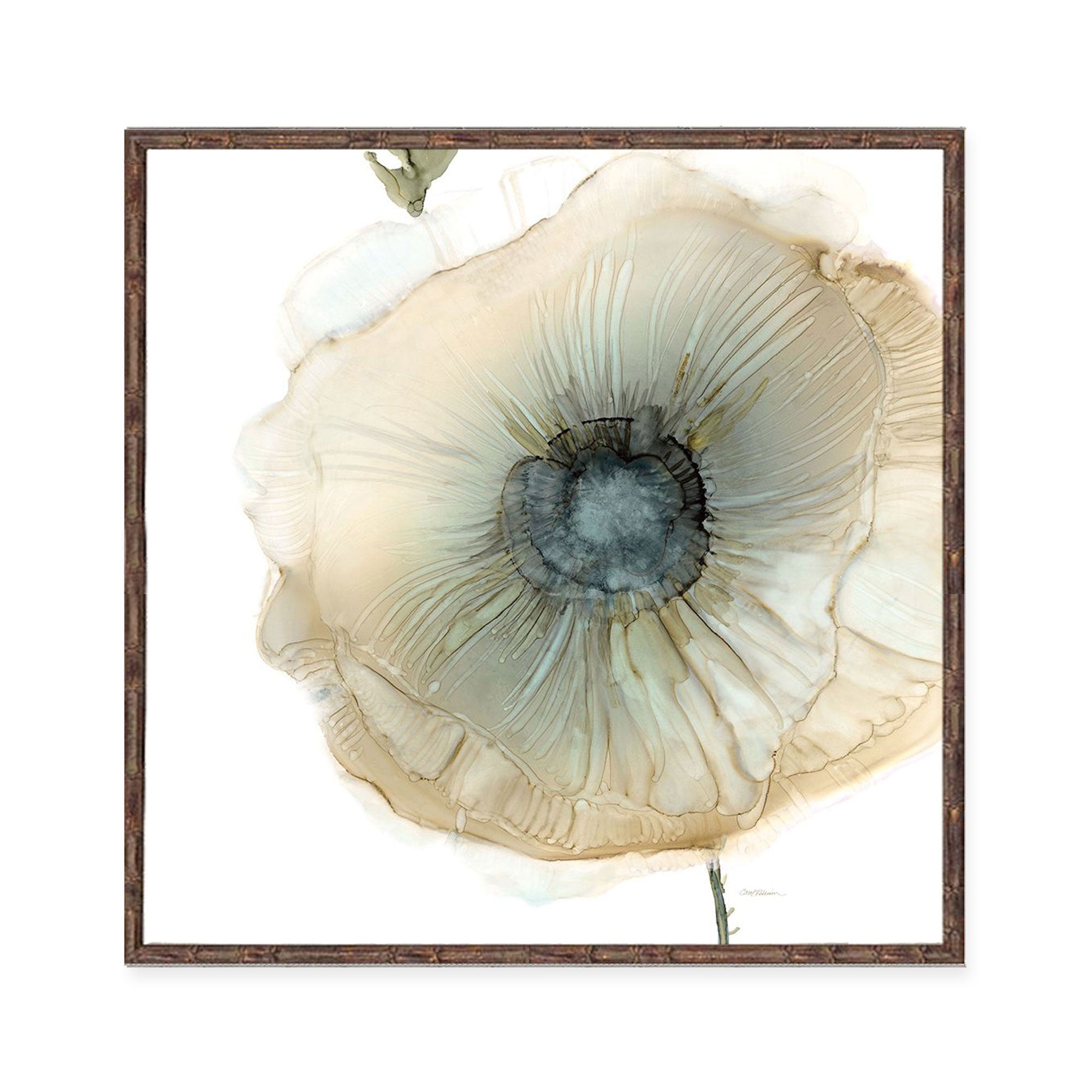 Iridescent Poppy II