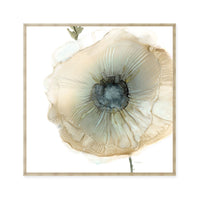 Iridescent Poppy II