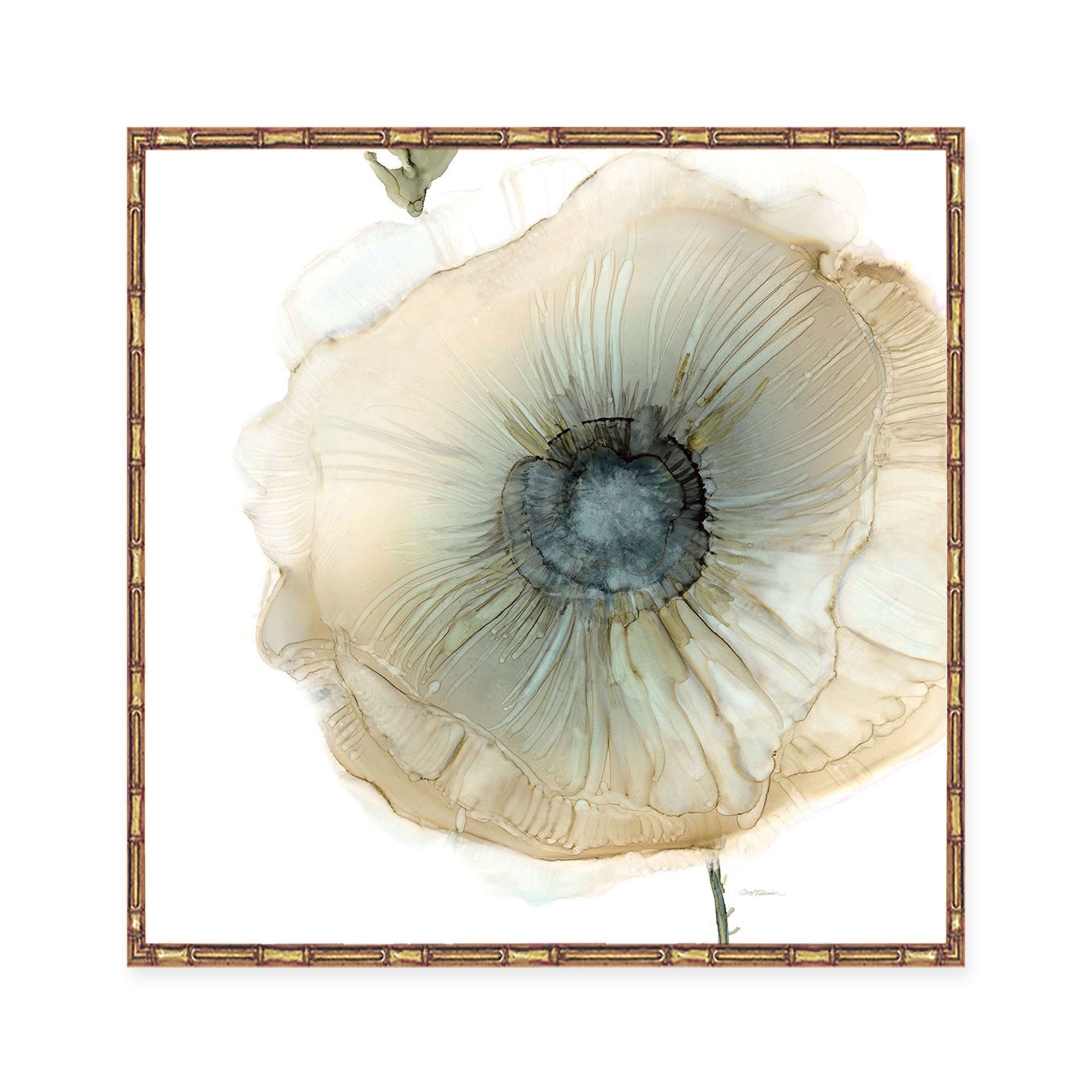 Iridescent Poppy II