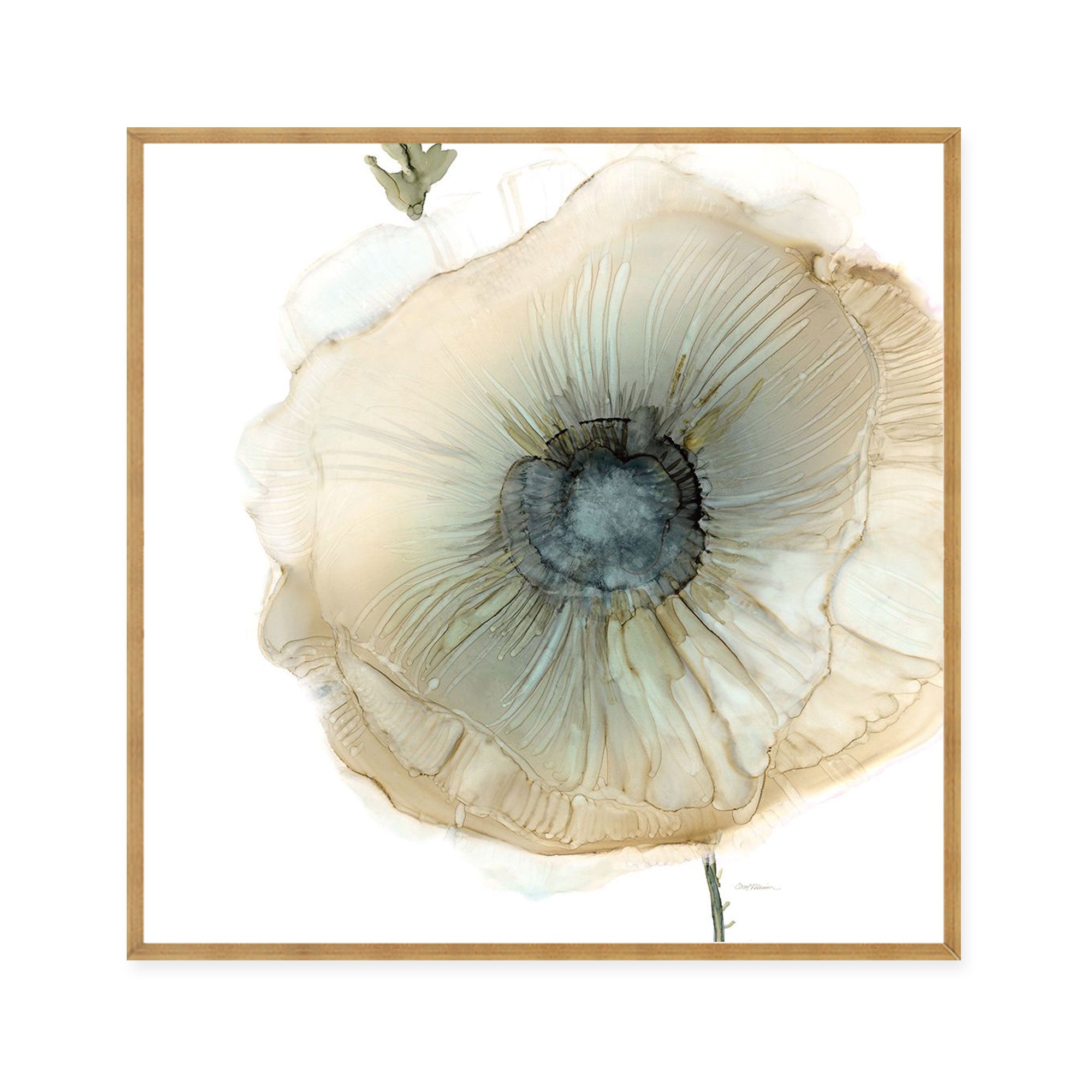 Iridescent Poppy II