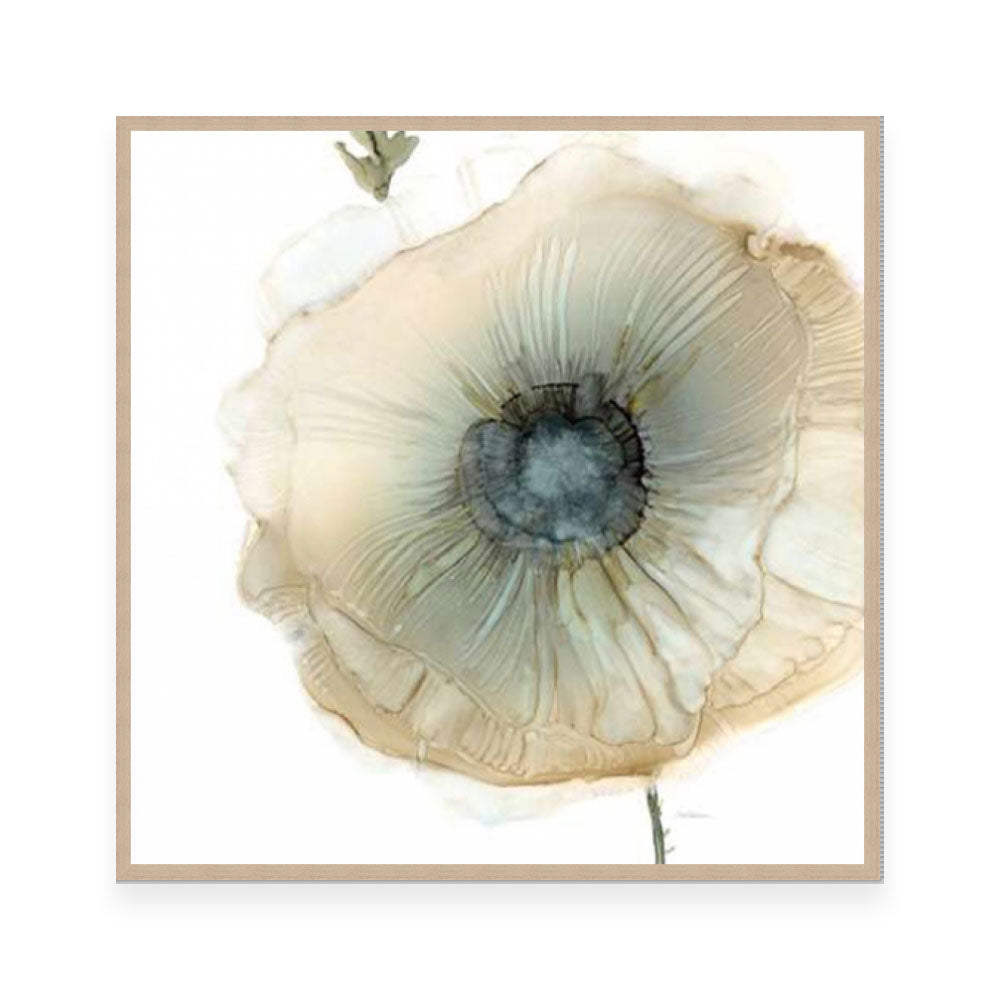 Iridescent Poppy II