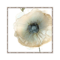 Iridescent Poppy II