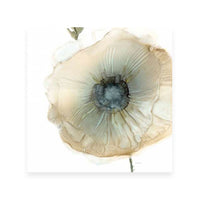 Iridescent Poppy II