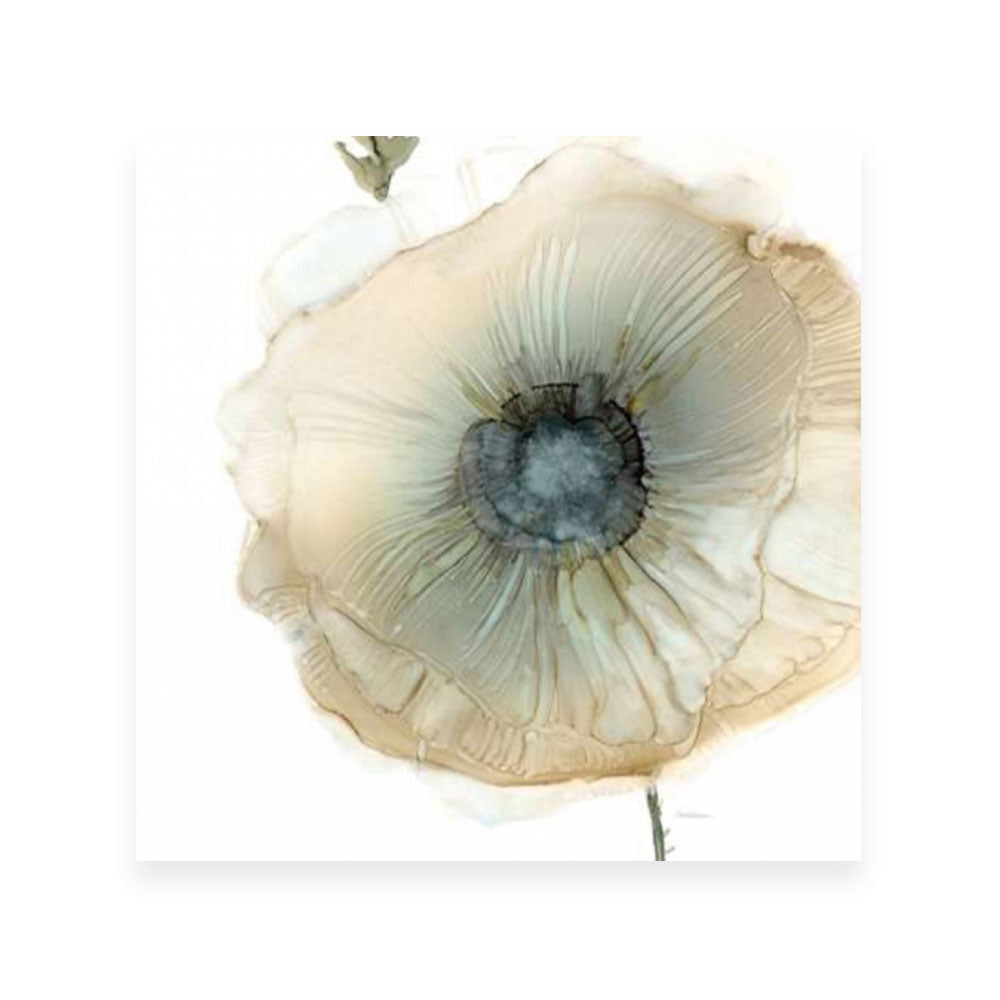 Iridescent Poppy II