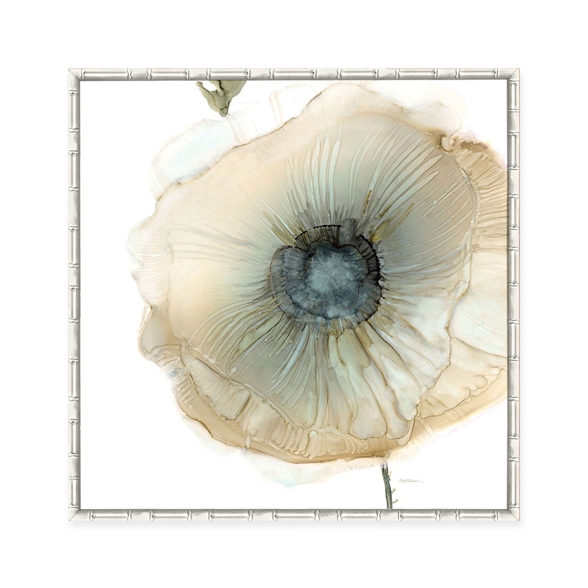 Iridescent Poppy II
