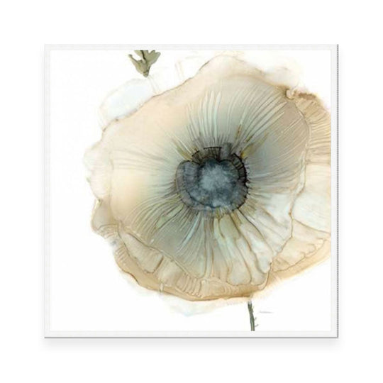 Iridescent Poppy II