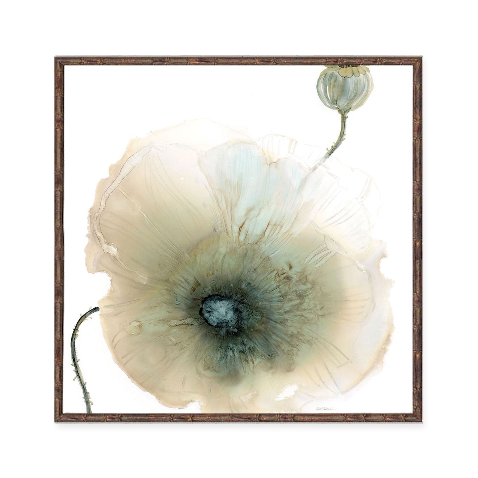 Iridescent Poppy I