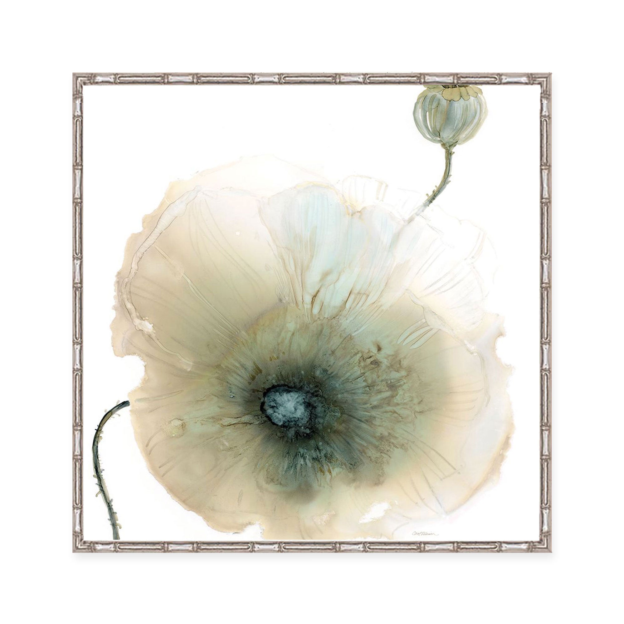 Iridescent Poppy I