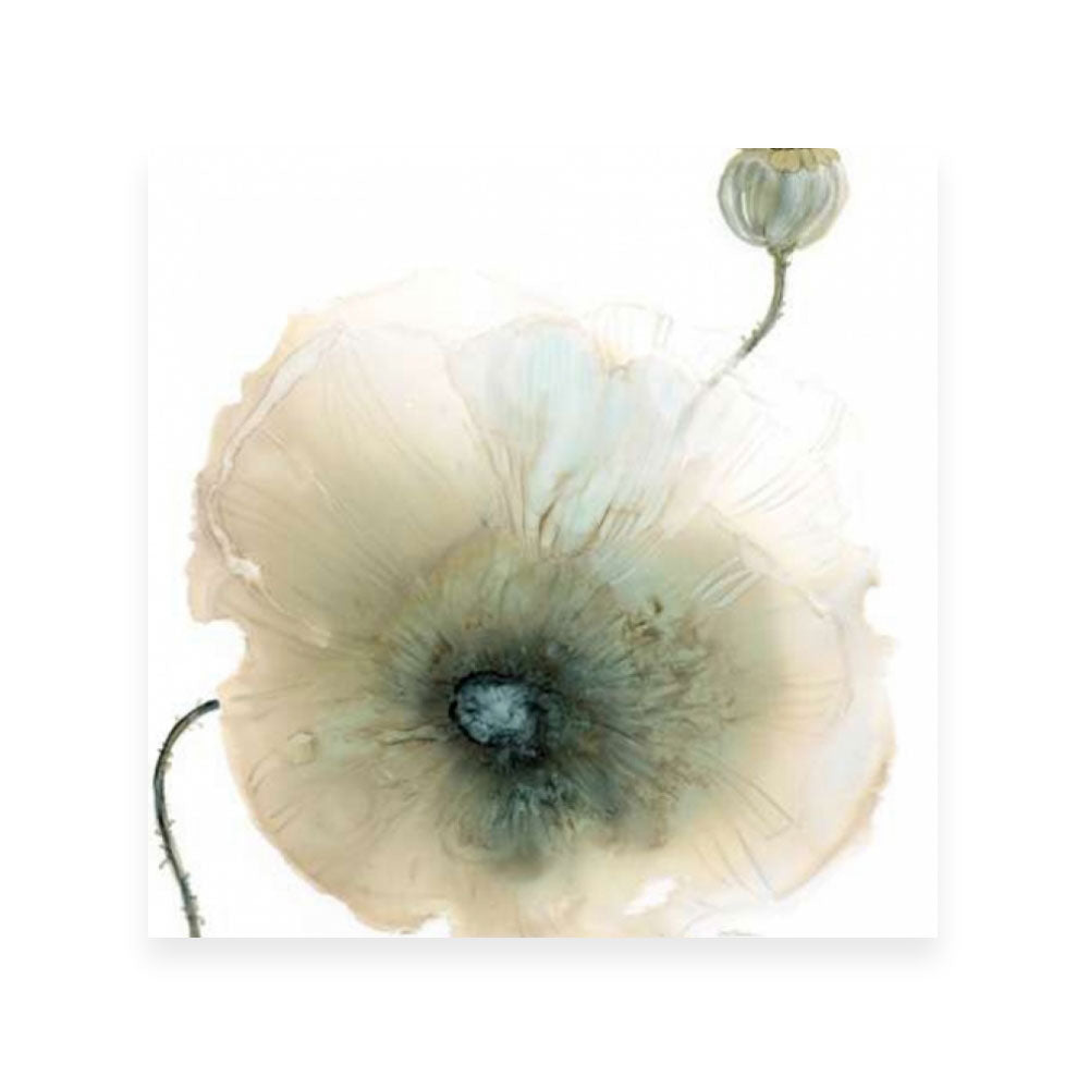 Iridescent Poppy I