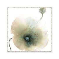 Iridescent Poppy I