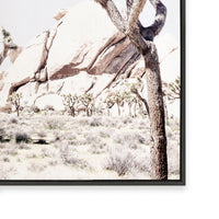 Joshua Tree II