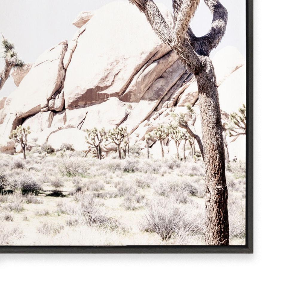 Joshua Tree II
