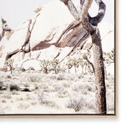 Joshua Tree II
