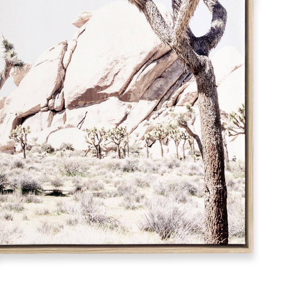 Joshua Tree II