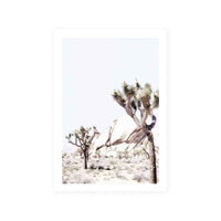 Joshua Tree II
