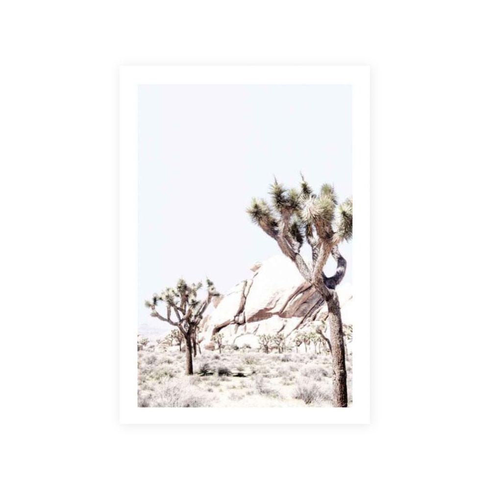 Joshua Tree II