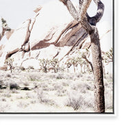 Joshua Tree II