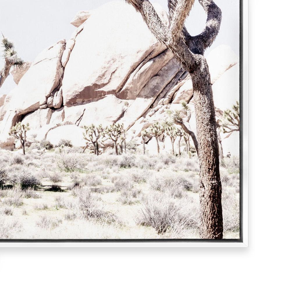 Joshua Tree II
