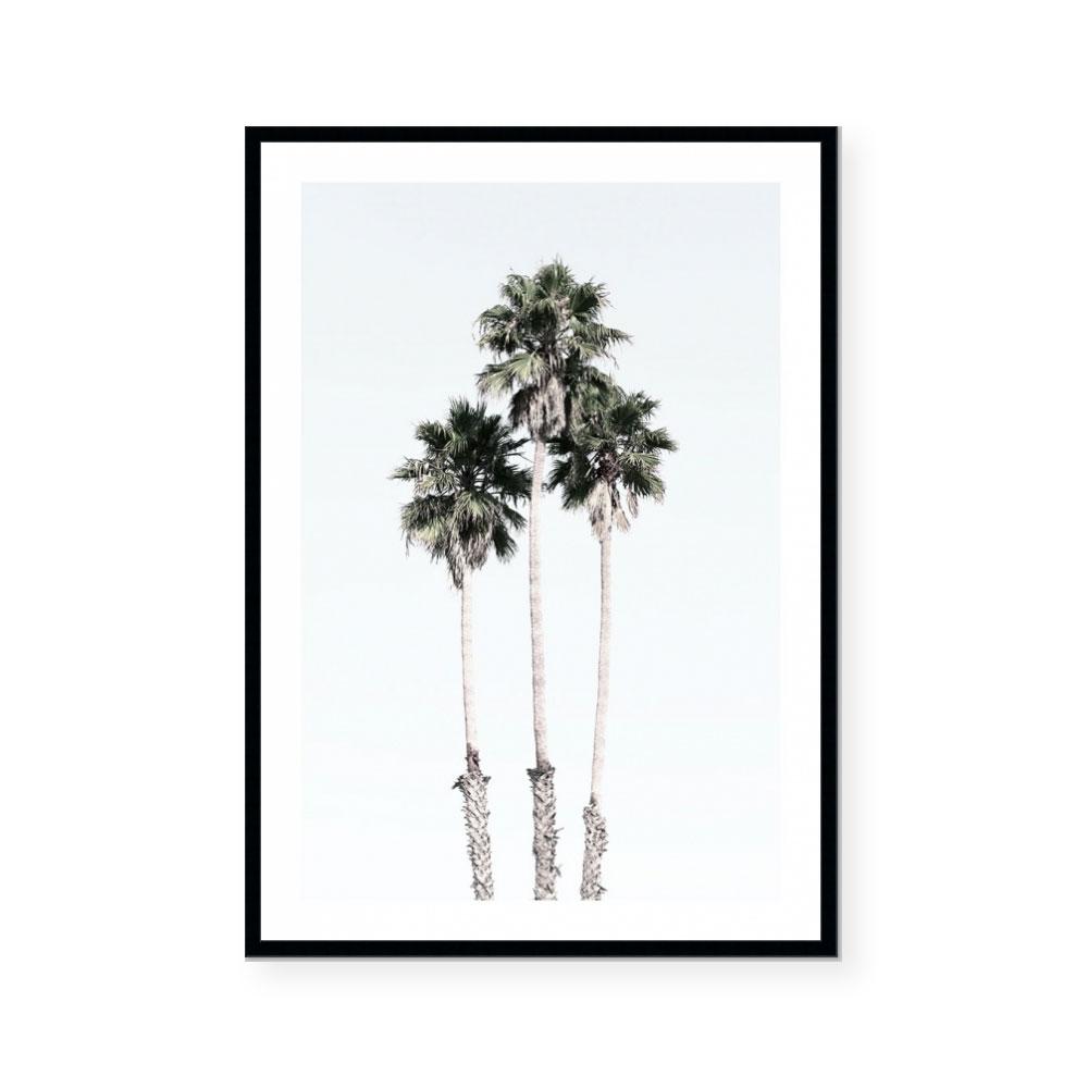 LA Palms
