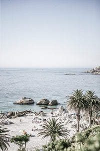 LA Paradise