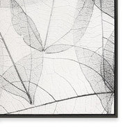 Lace I