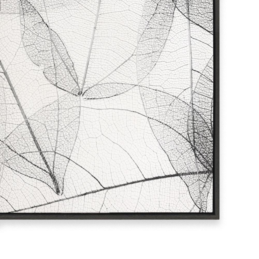 Lace I