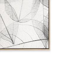 Lace I