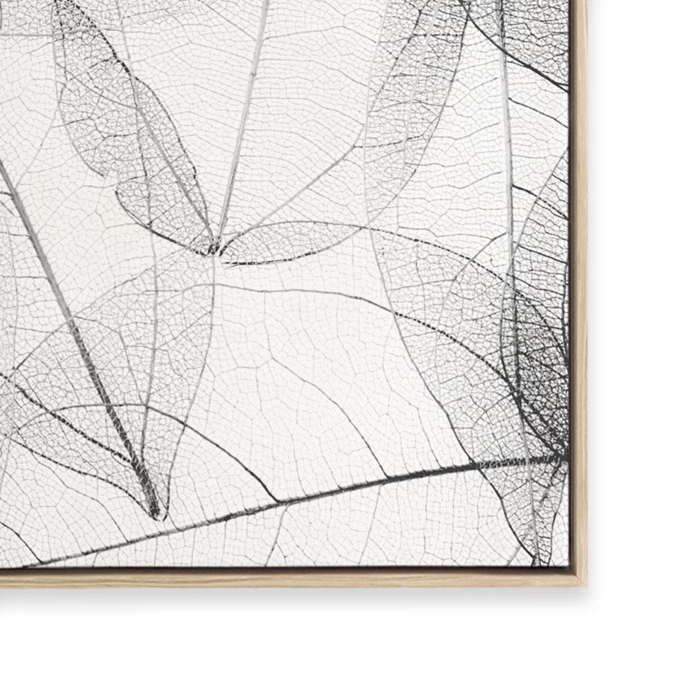 Lace I