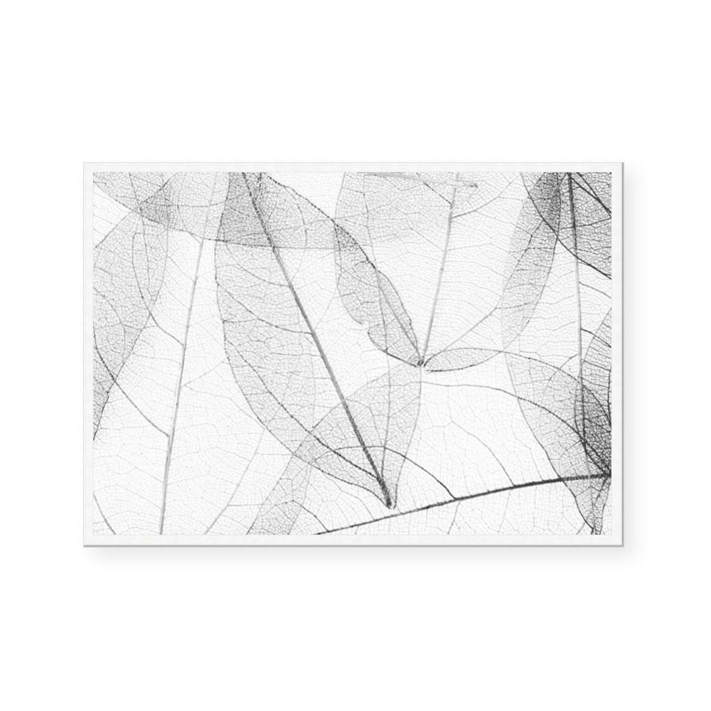 Lace I
