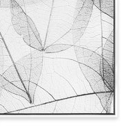 Lace I
