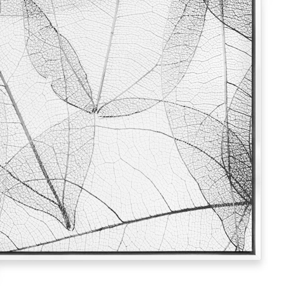 Lace I