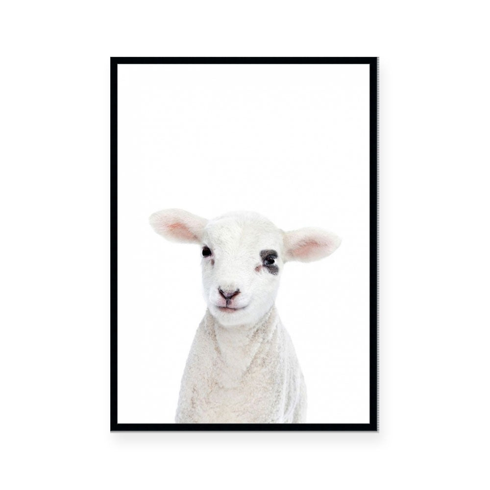 Lamb | Portrait