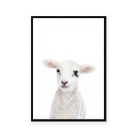Lamb | Portrait