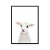 Lamb | Portrait