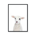 Lamb | Portrait