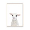 Lamb | Portrait
