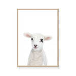 Lamb | Portrait