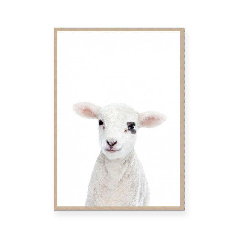 Lamb | Portrait