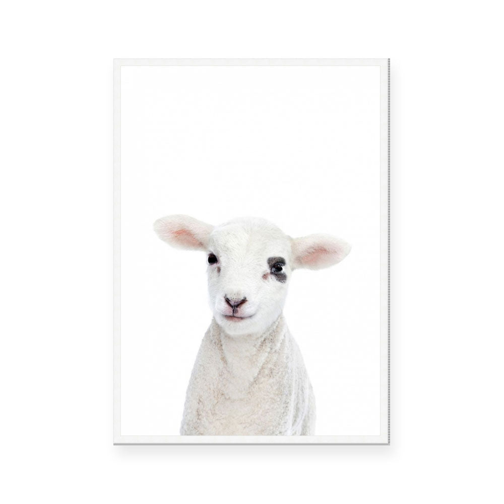 Lamb | Portrait