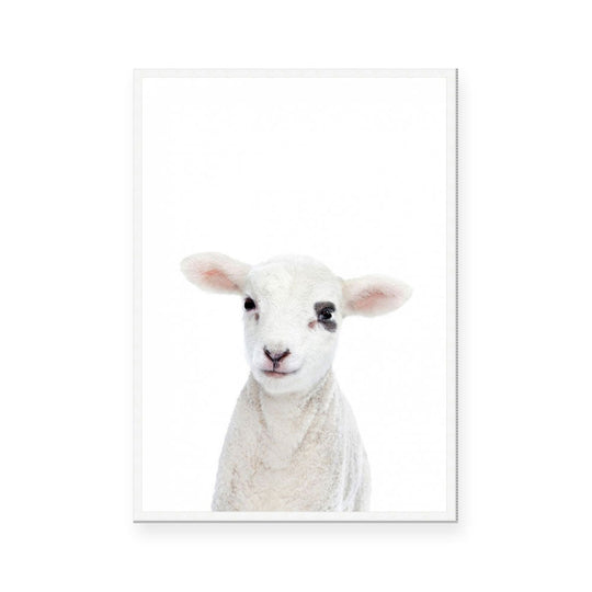 Lamb | Portrait