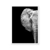 Monochrome Savanna / Elephant