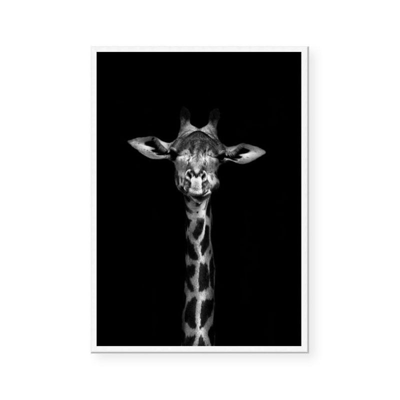 Monochrome Savanna | Giraffe