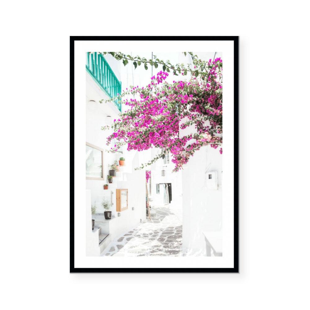 Magenta Blooms in Mykonos
