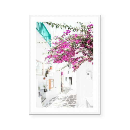 Magenta Blooms in Mykonos