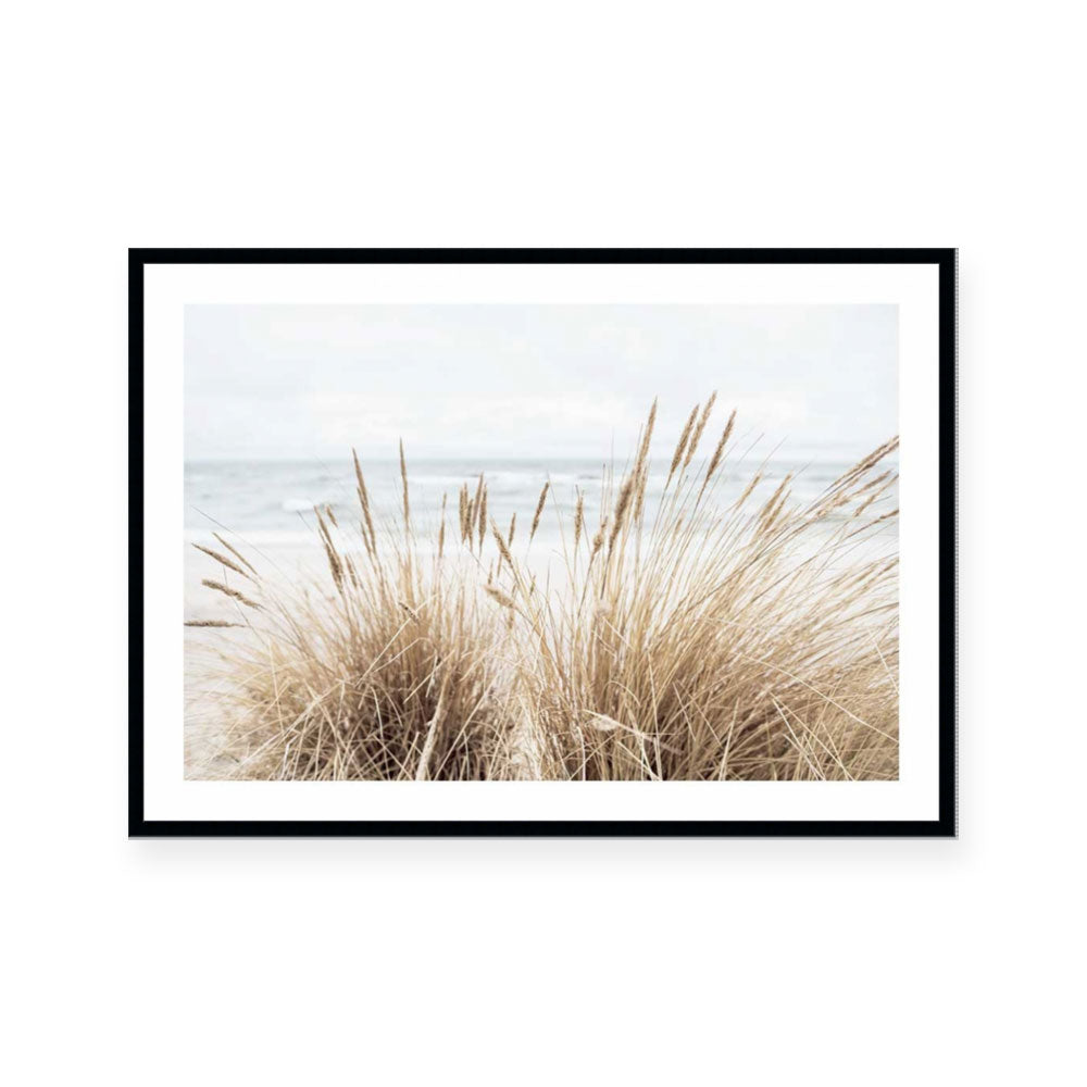 Marram | Landscape