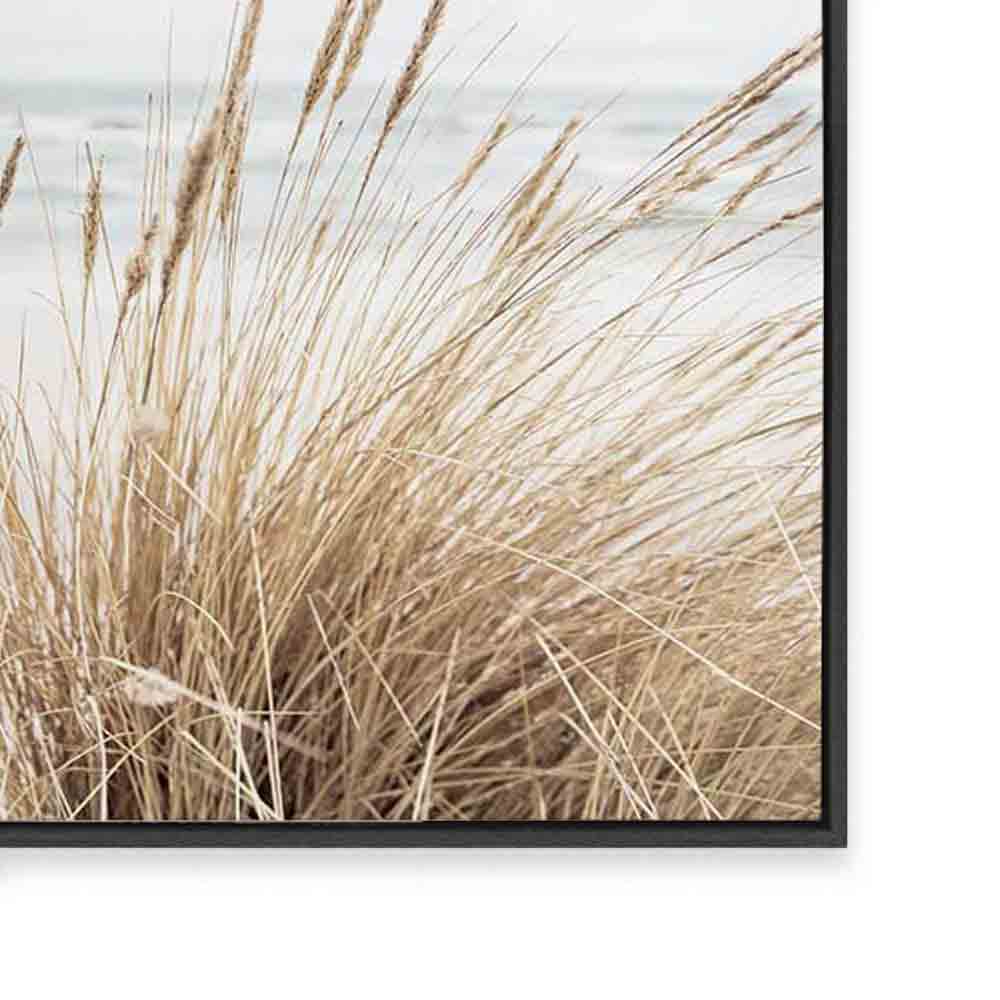 Marram | Landscape
