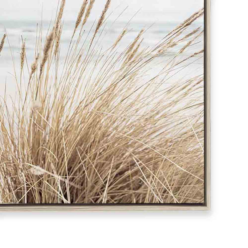 Marram | Landscape